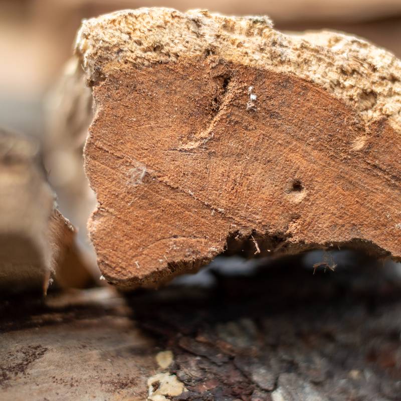 Seasoned Cherry Firewood - Wildman Firewood