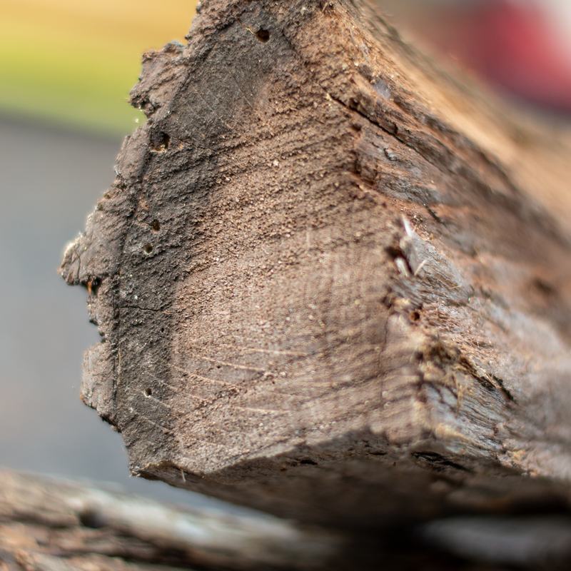 Premium Kiln-Dried Mesquite Firewood - Wildman Firewood
